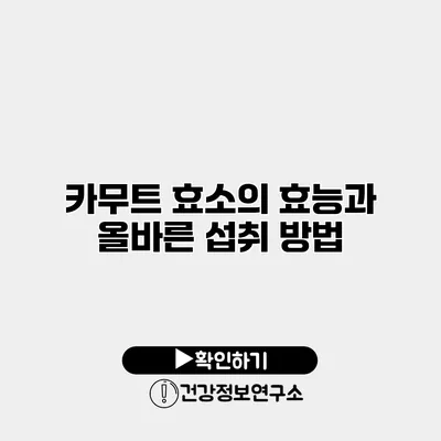 카무트 효소의 효능과 올바른 섭취 방법