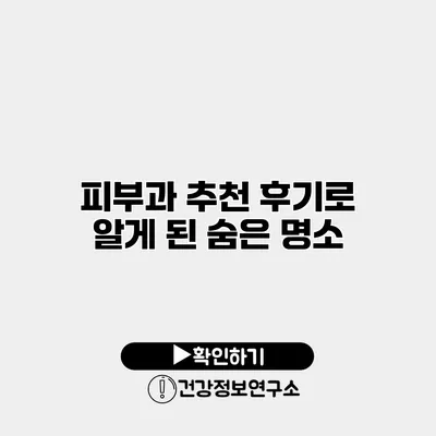 피부과 추천 후기로 알게 된 숨은 명소