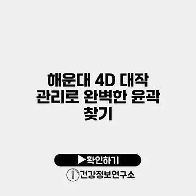 해운대 4D 대작 관리로 완벽한 윤곽 찾기