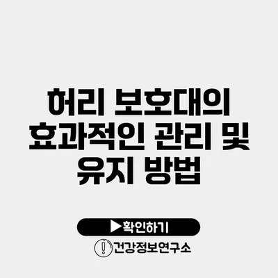 허리 보호대의 효과적인 관리 및 유지 방법