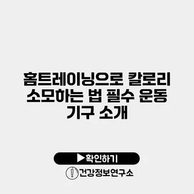 홈트레이닝으로 칼로리 소모하는 법 필수 운동 기구 소개