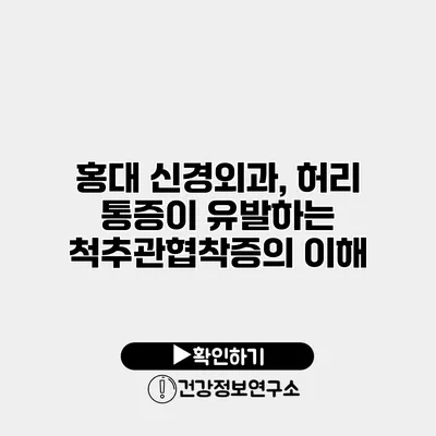 홍대 신경외과, 허리 통증이 유발하는 척추관협착증의 이해