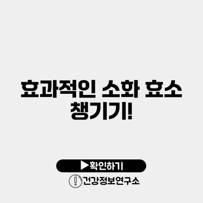 효과적인 소화 효소 챙기기!