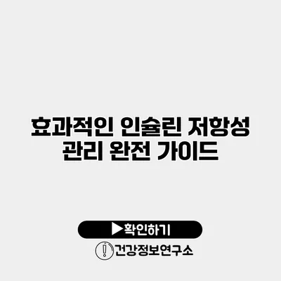 효과적인 인슐린 저항성 관리 완전 가이드