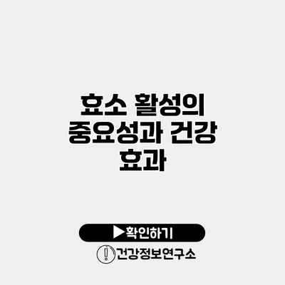 효소 활성의 중요성과 건강 효과