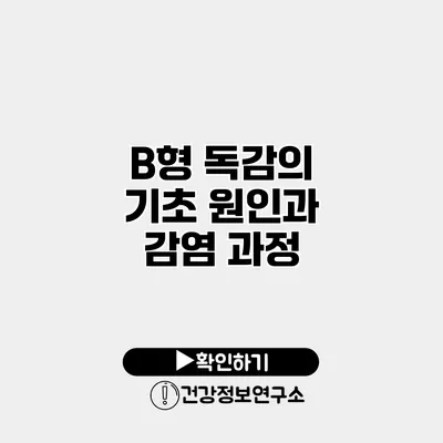 B형 독감의 기초 원인과 감염 과정