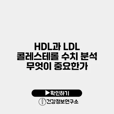 HDL과 LDL 콜레스테롤 수치 분석 무엇이 중요한가?