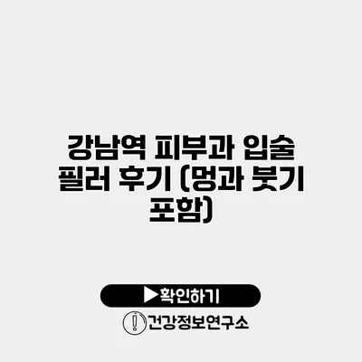 강남역 피부과 입술 필러 후기 (멍과 붓기 포함)