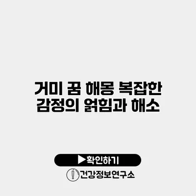 거미 꿈 해몽 복잡한 감정의 얽힘과 해소