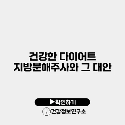건강한 다이어트 지방분해주사와 그 대안