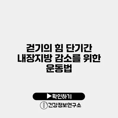 걷기의 힘 단기간 내장지방 감소를 위한 운동법