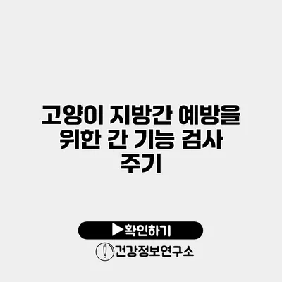 고양이 지방간 예방을 위한 간 기능 검사 주기