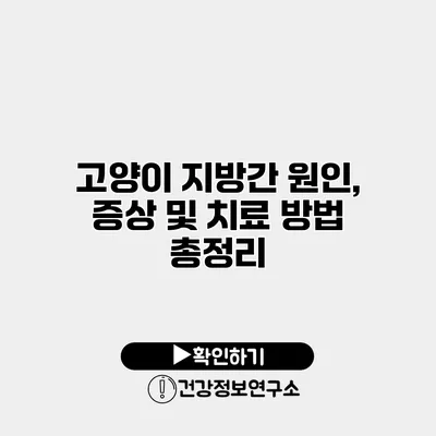 고양이 지방간 원인, 증상 및 치료 방법 총정리