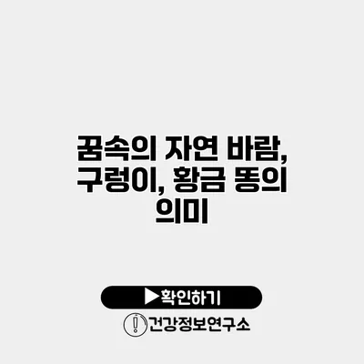 꿈속의 자연 바람, 구렁이, 황금 똥의 의미