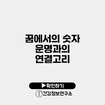 꿈에서의 숫자 운명과의 연결고리