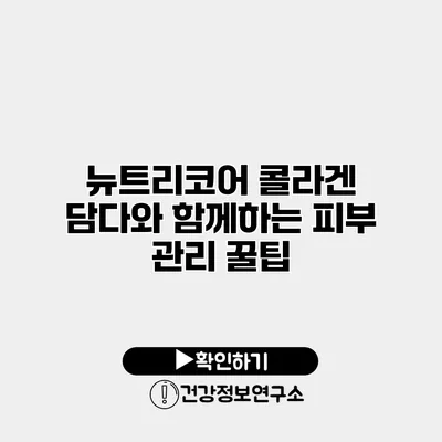 뉴트리코어 콜라겐 담다와 함께하는 피부 관리 꿀팁