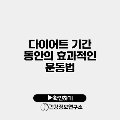 다이어트 기간 동안의 효과적인 운동법