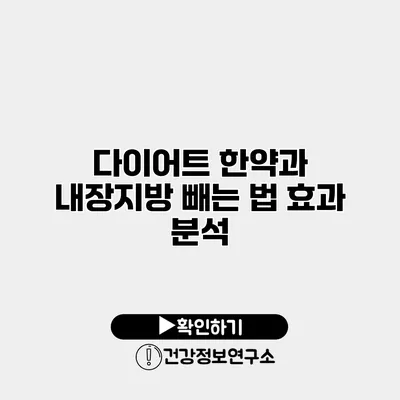 다이어트 한약과 내장지방 빼는 법 효과 분석