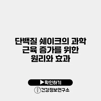 단백질 쉐이크의 과학 근육 증가를 위한 원리와 효과