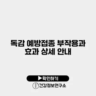 독감 예방접종 부작용과 효과 상세 안내