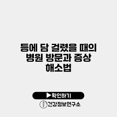 등에 담 걸렸을 때의 병원 방문과 증상 해소법