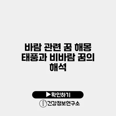 바람 관련 꿈 해몽 태풍과 비바람 꿈의 해석