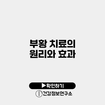 부황 치료의 원리와 효과