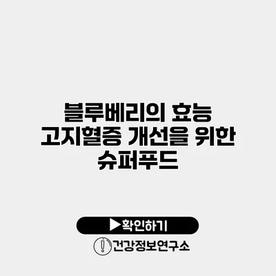 블루베리의 효능 고지혈증 개선을 위한 슈퍼푸드