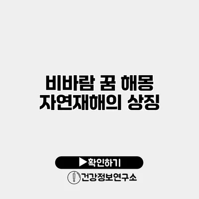 비바람 꿈 해몽 자연재해의 상징