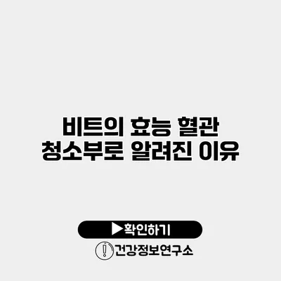비트의 효능 혈관 청소부로 알려진 이유