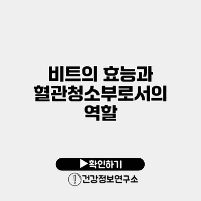 비트의 효능과 혈관청소부로서의 역할