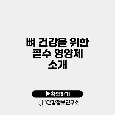 뼈 건강을 위한 필수 영양제 소개