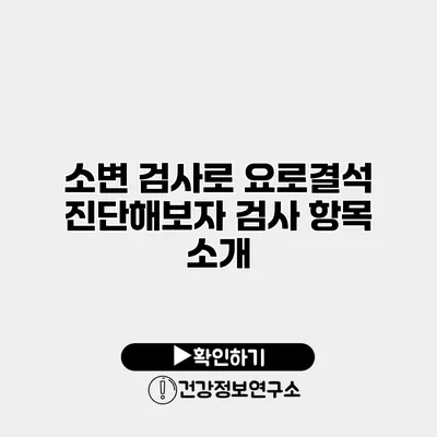 소변 검사로 요로결석 진단해보자 검사 항목 소개