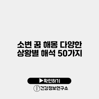 소변 꿈 해몽 다양한 상황별 해석 50가지