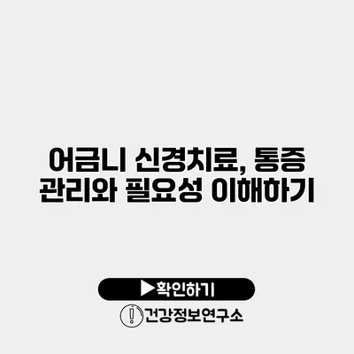 어금니 신경치료, 통증 관리와 필요성 이해하기