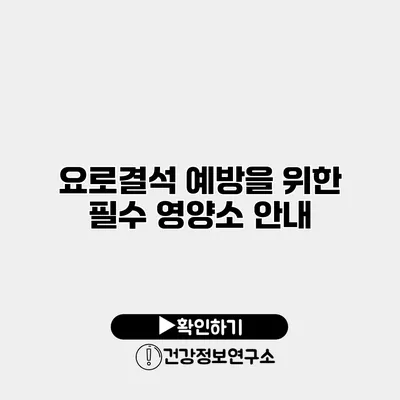 요로결석 예방을 위한 필수 영양소 안내