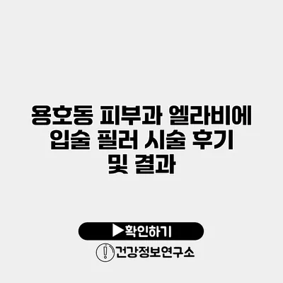 용호동 피부과 엘라비에 입술 필러 시술 후기 및 결과