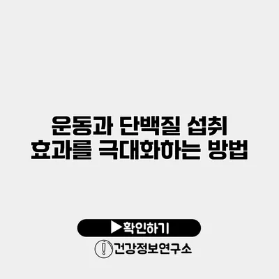 운동과 단백질 섭취 효과를 극대화하는 방법