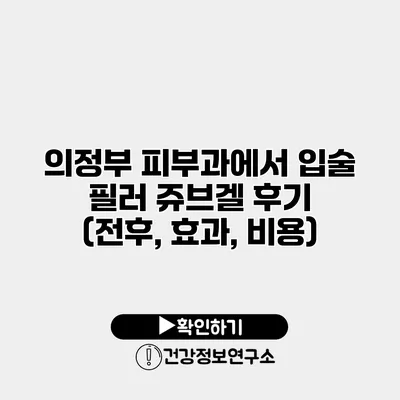 의정부 피부과에서 입술 필러 쥬브겔 후기 (전후, 효과, 비용)