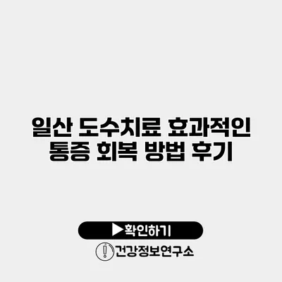 일산 도수치료 효과적인 통증 회복 방법 후기