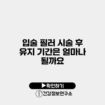 입술 필러 시술 후 유지 기간은 얼마나 될까요?