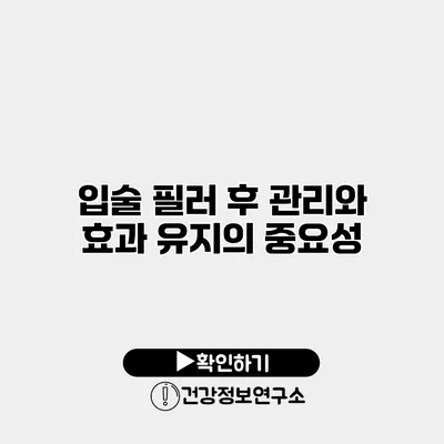 입술 필러 후 관리와 효과 유지의 중요성