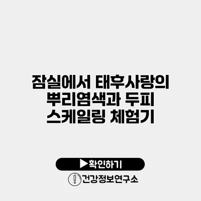 잠실에서 태후사랑의 뿌리염색과 두피 스케일링 체험기
