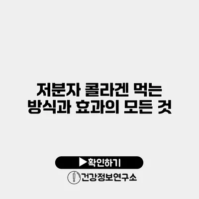 저분자 콜라겐 먹는 방식과 효과의 모든 것