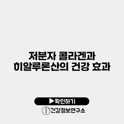 저분자 콜라겐과 히알루론산의 건강 효과