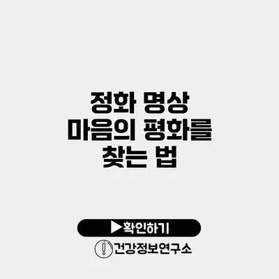 정화 명상 마음의 평화를 찾는 법