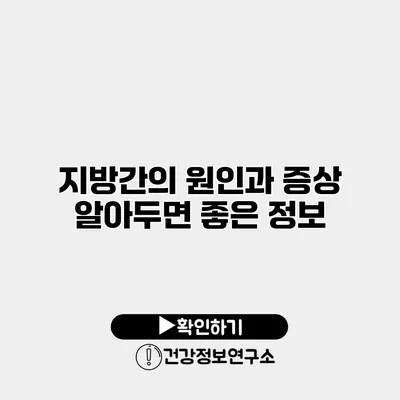 지방간의 원인과 증상 알아두면 좋은 정보