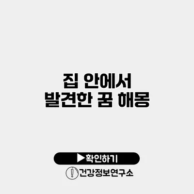 집 안에서 발견한 꿈 해몽