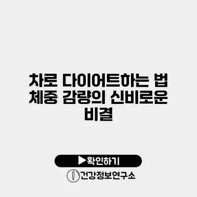 차로 다이어트하는 법 체중 감량의 신비로운 비결