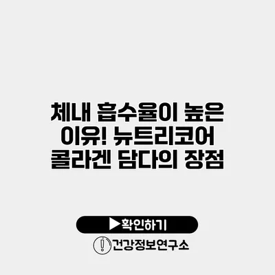 체내 흡수율이 높은 이유! 뉴트리코어 콜라겐 담다의 장점